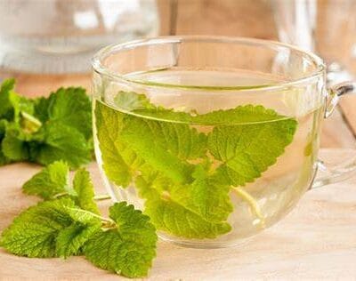 MELISA SUSZONA NATURALNA AROMATYCZNA 100g