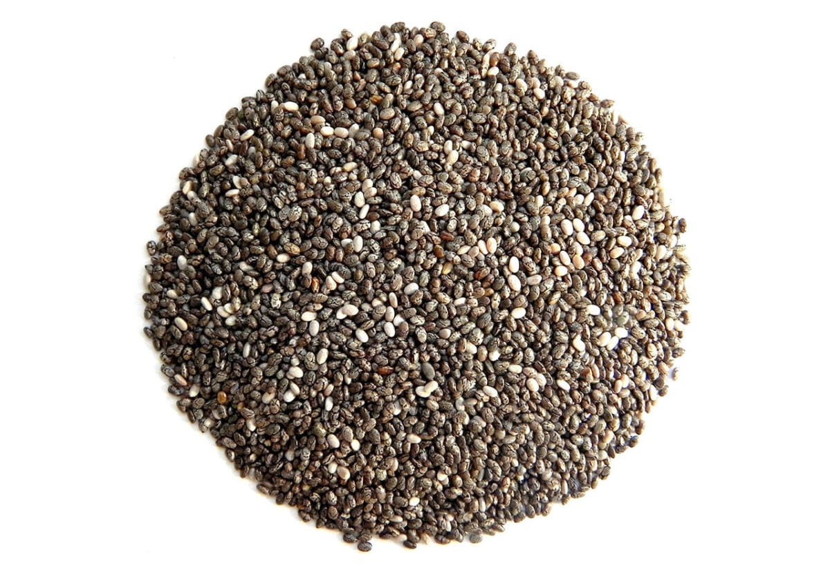 R (1) NASIONA CHIA SZAŁWIA HISZPAŃSKA