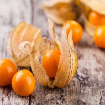 MIECHUNKA SUSZONA 250G WIŚNIA PERUWIAŃSKA witamina C