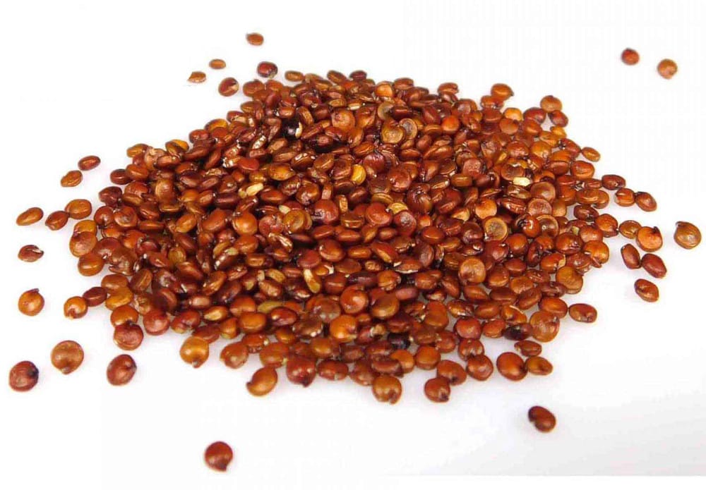 KOMOSA RYŻOWA CZERWONA 500G QUINOA