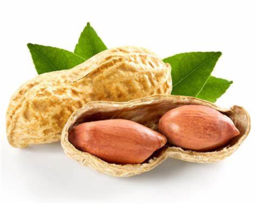 ORZECHY ZIEMNE ARACHIDOWE PRAŻONE 500G BEZ SOLI