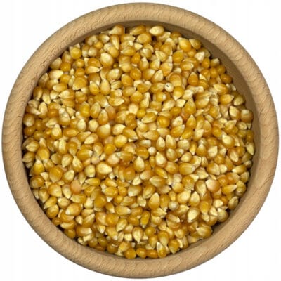 KUKURYDZA ZIARNO POPCORN