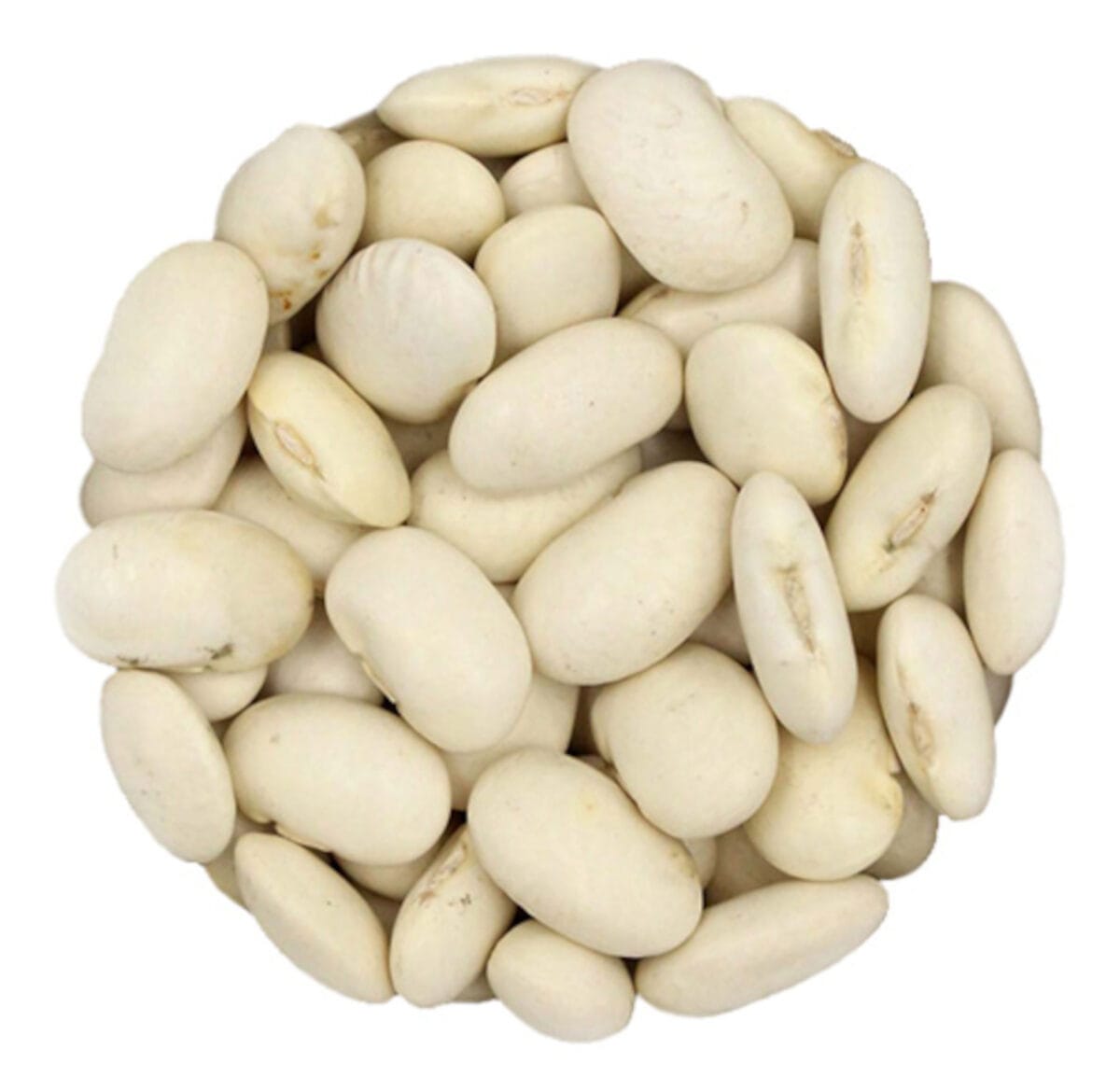 FASOLA JAŚ PIĘKNY KARŁOWY