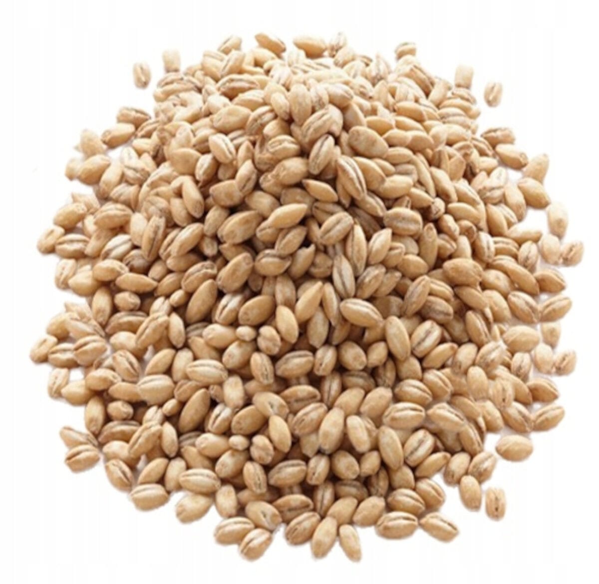 KASZA KASZA JĘCZMIENNA PĘCZAK